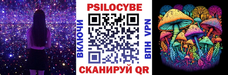 Псилоцибиновые грибы GOLDEN TEACHER Купить закладки Таганрог